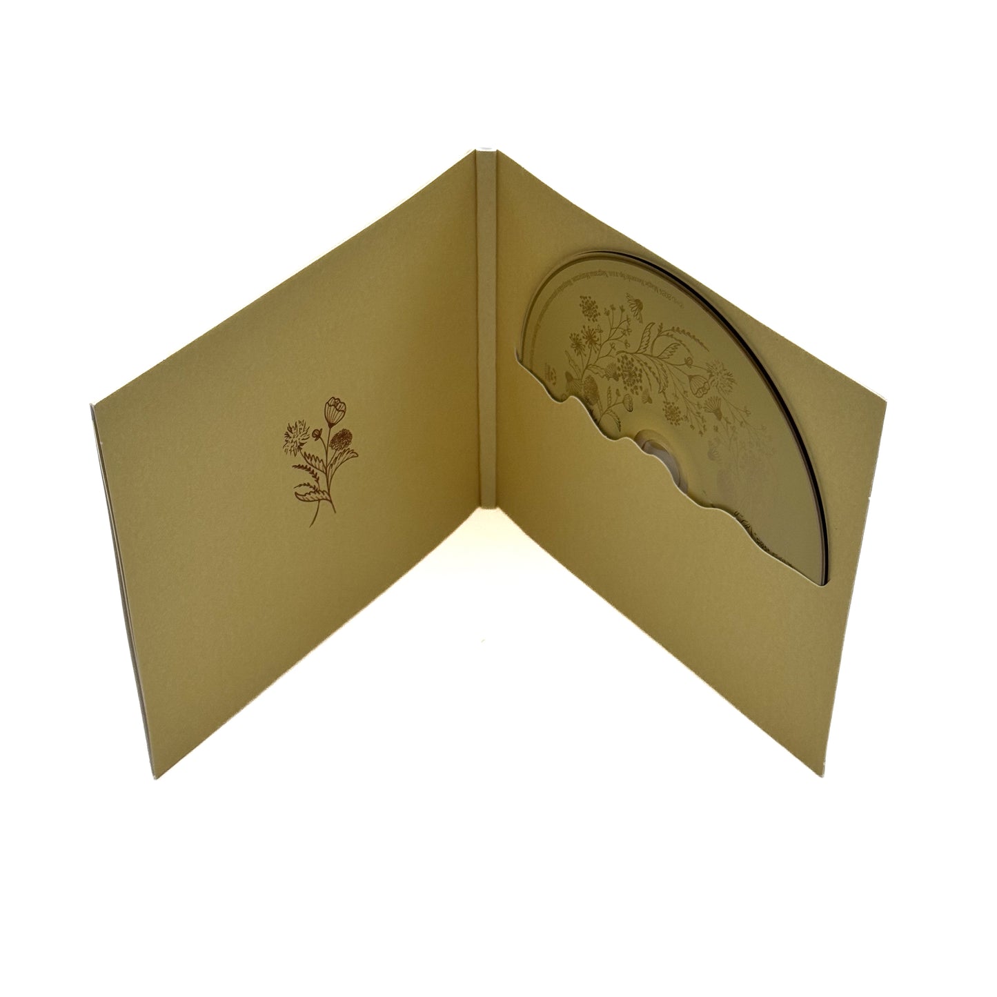 „Pianinkowe Kaprysy” CD