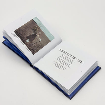 „sanah śpiewa Poezyje” CD